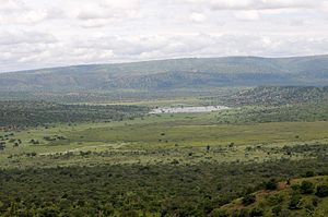 Landschaft im an der Grenze zu Tansania gelegenen Akagera-Nationalpark