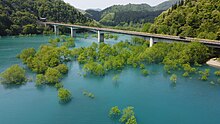 雪解け頃だけ見られる鎧畑ダム秋扇湖水没林（秋田県仙北市）