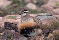 Varanger, arctic Norway