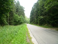 Droga wojewódzka nr 651 w gminie Szypliszki