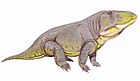 Erythrosuchus africanus