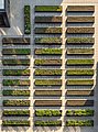 Image 58Rooftop farm on the Lower East Side