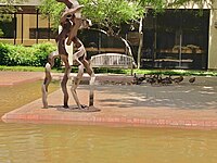 Sunken garden in south campus