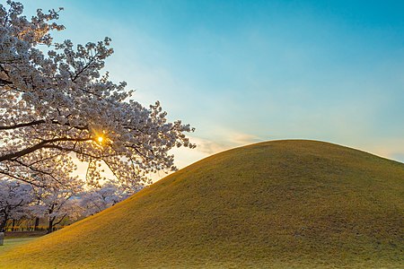 대릉원 (Daeleungwon, the group of royal tombs in Gyeongju) Photograph: 손묵광