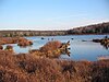 Black Moshannon State Park