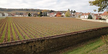 Le Clos du Mesnil.