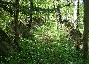 "Draktänder" vid Stockholms universitet