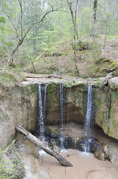 File:Clark creek natural area ms.jpg