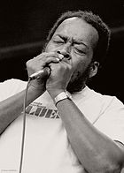 James Cotton, 1982.