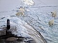 在距離北極點二百八十里的地方，三隻北極熊發現了USS潛艇（英语：USS Honolulu (SSN-718)）