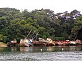 Douarnenez : Le Port Rhu, le cimetière à bateau en 2009