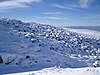 A stone run at Malak Rezen Peak, Vitosha Mountain, Bulgaria.