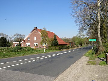 Siebestock