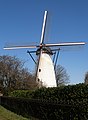 Sint-Michielsgestel, le moulin: de Genenberg