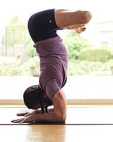 Pincha Mayurasana with legs in lotus position