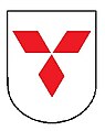 4. Braun (tarcza)