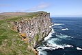 "Iceland2008-Latrabjarg.cliff.JPG" by User:Progresschrome