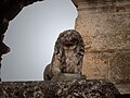 the Venetian lion in the arena