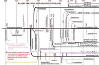 Family tree of Laestadianism in Finland and Karelia, including defunct groups