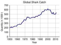 Graph of shark catch from 1950 to 20114, linear growth from less than 300,000 tons per year in 1950 to about 850,000 per year in 2000, before falling below 800,00 in the 2006-08 period.