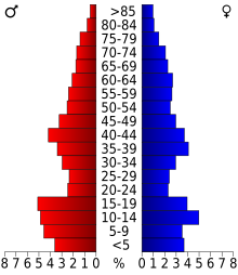 Schéma représentant la population du comté, par tranche d'âge. En rouge, à gauche, les femmes, en bleu à droite, les hommes.