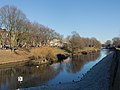 Bois le Duc, la fleuve (de Dommel) de Molenberg