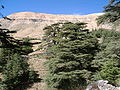 Lebanon