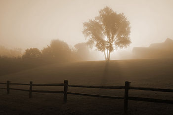 De nèbla lo matin.