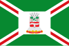 Flag of Barra do Bugres, Mato Grosso