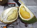 Comparison of two varieties of durian (opened)