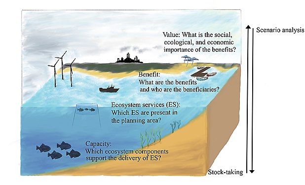 The ecosystem cascade to structure the stock-taking and scenario analysis steps in the marine spatial planning process.[134]