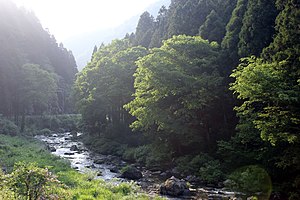 竹田川 2013年5月22日撮影