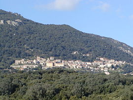 A general view of Olmeto