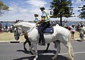 Mounted Police