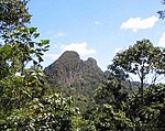 Mountain peak, forest in front