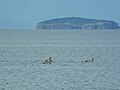 Lake Prespa, Macedonia