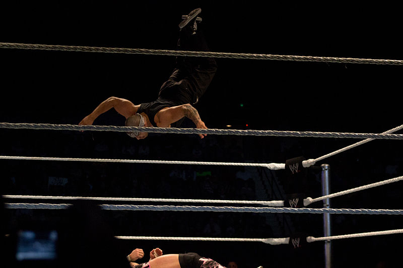 File:Hunico Flies.jpg