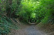 Alter Hohlweg bei der ehemaligen Büdericher Schanze