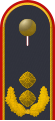 Jacke Dienstanzug Luftwaffenuniformträger General