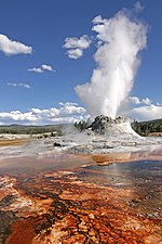 Géiser en el Parque Nacional Yellowstone.