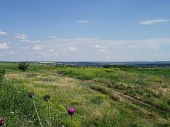 Перед городом Леова - panoramio.jpg