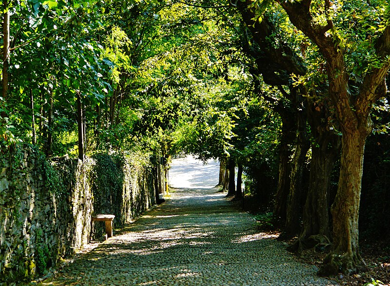 File:Orta San Giulio Sacro Monte di Orta Via al Sacro Monte 4.jpg