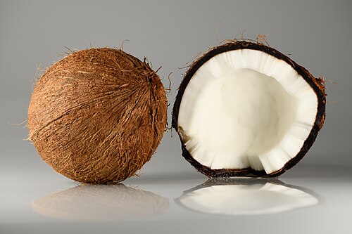 Coconut