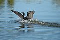 Everglades National Park, Florida