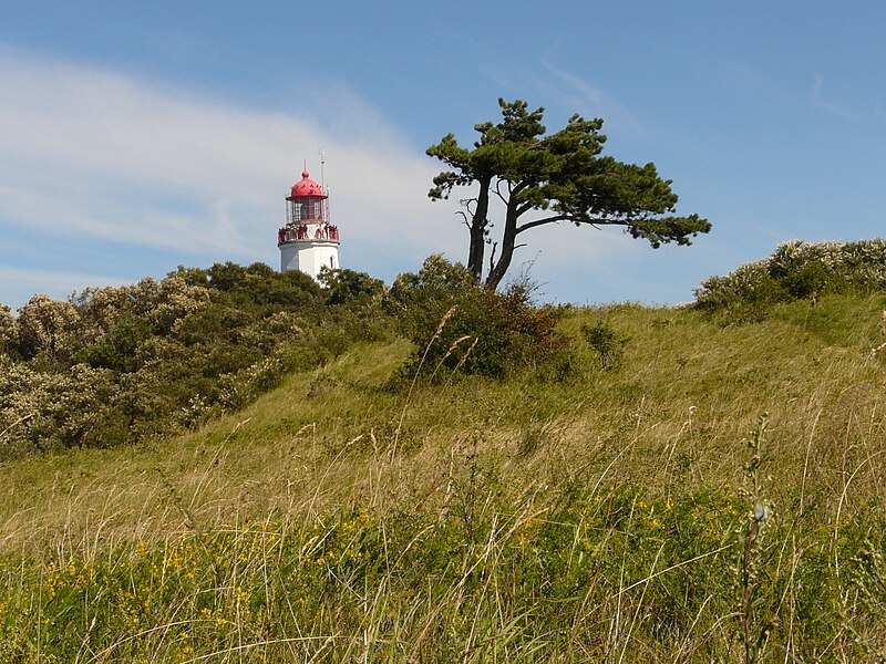 File:Hiddensee 19.08.10-1.JPG