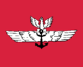 ?海軍航空隊の旗（1920年～1928年）