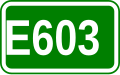 E603 shield