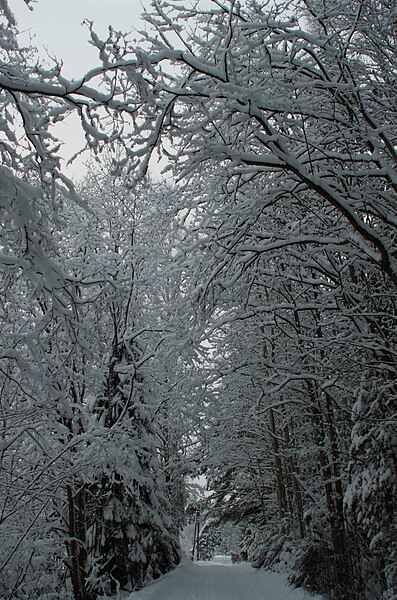 File:Winter Finland 2005.jpg