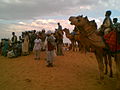 Thar Desert, Jaisalmer