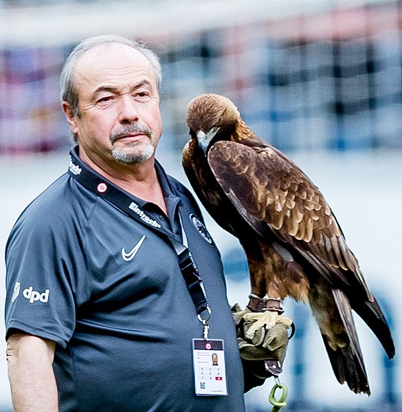 File:2022128172516 2022-05-08 Fussball Eintracht Frankfurt vs Borussia Mönchengladbach - Sven - 1D X MK II - 2225 - B70I8336 (cropped).jpg